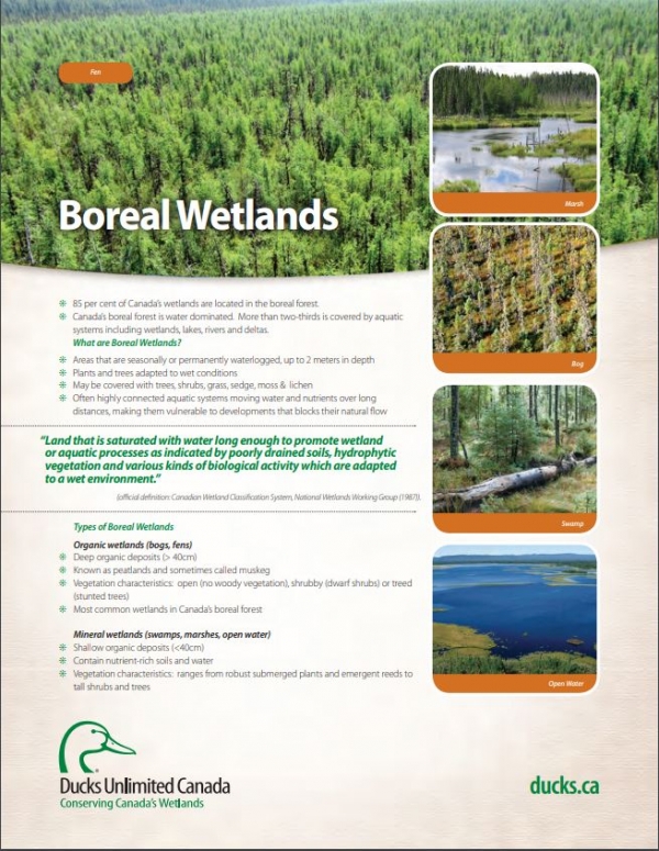Boreal Wetland Factsheets