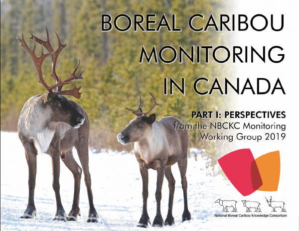 Part I: Perspectives from the NBCKC Monitoring Working Group (2019)