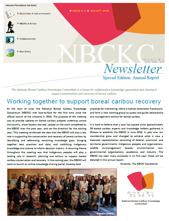 Cover page of NBCKC Newsletter #5 - June 2019_Annual report