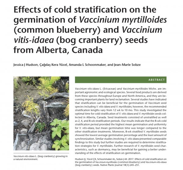 Effects of Cold Stratification