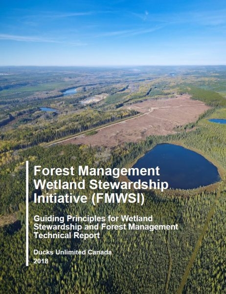 DUC Guiding Principles Technical Report Cover