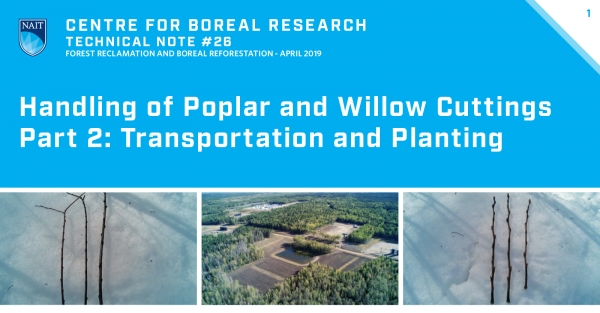 Poplar and Willow Part 2 Title