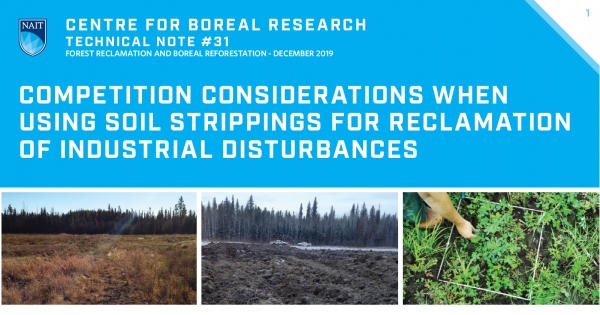 Competition Considerations When Using Soil Strippings Title