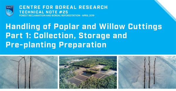 Handling of Poplar and Willow Cuttings Part 1