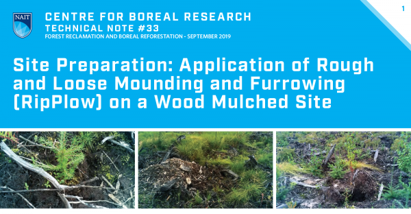 Rough and Loose Title