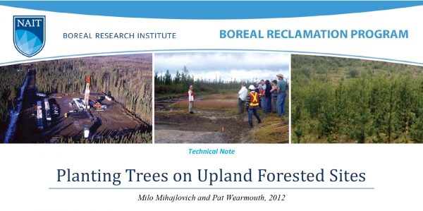 Woody_Vegetation_Establishment-Title