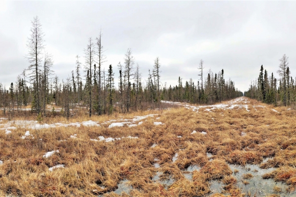 Hummock Transfer Site Reclaim