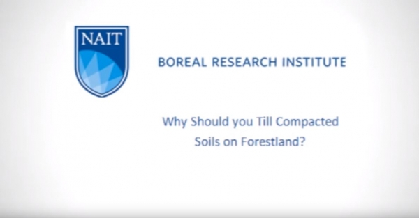 The Importance of Tilling Compacted Forest Soil