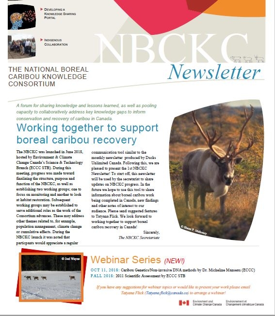 Newsletter front page