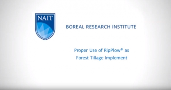 How to Use a RipPlow in Forest Reclamation