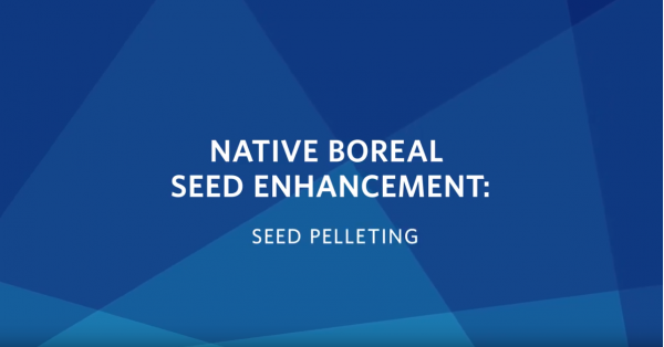 Seed Pelleting Video