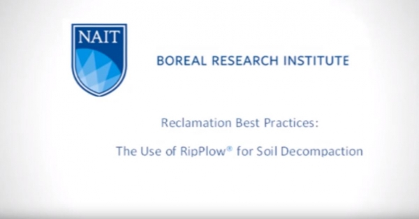 Using a RipPlow for Soil Decompaction in Forestry Reclamation