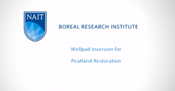 Wellpad Inversion Video