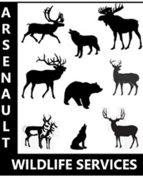 Canadian megafauna silhouetted with Arsenault Wildlife Services text
