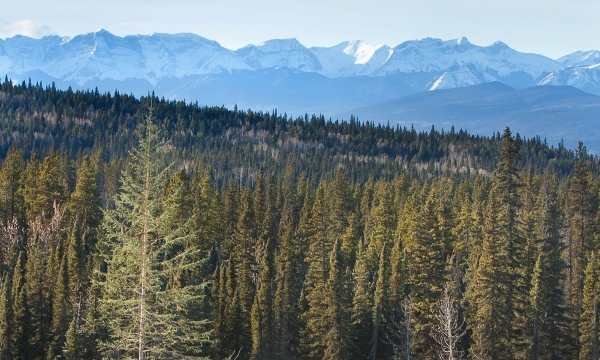 Land Management Portal Banner