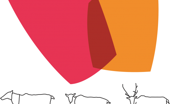 NBCKC logo