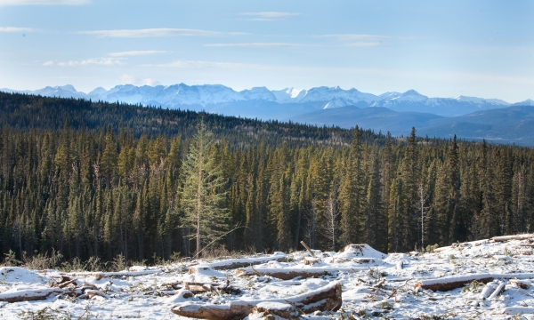 About Land Management Image