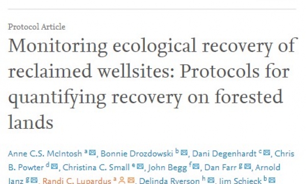 Journal article first page