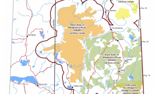 Front page of the ALT 2009 report