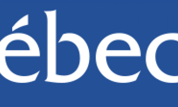 organization photo/logo