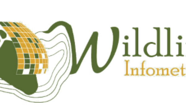 Wildlife Infometrics Inc. LOGO