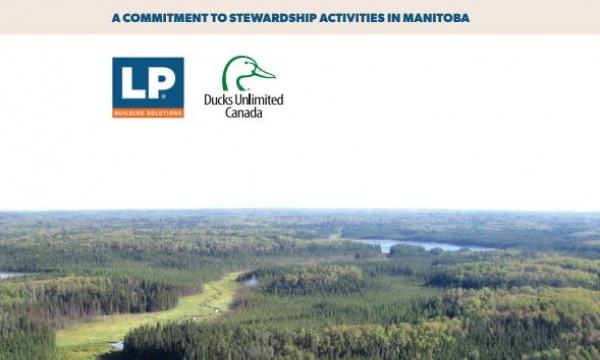 Boreal wetlands and waterfowl