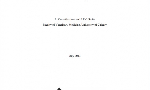 Report cover page