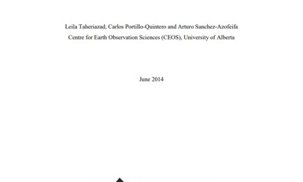 Report cover page