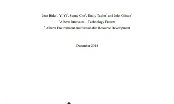Report cover page