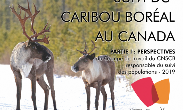 image de la page de couverture du rapport