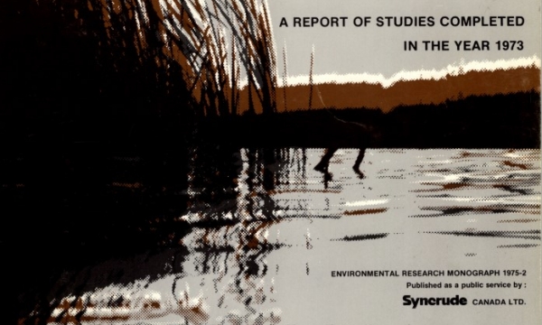 Report cover page