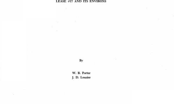 Report cover page