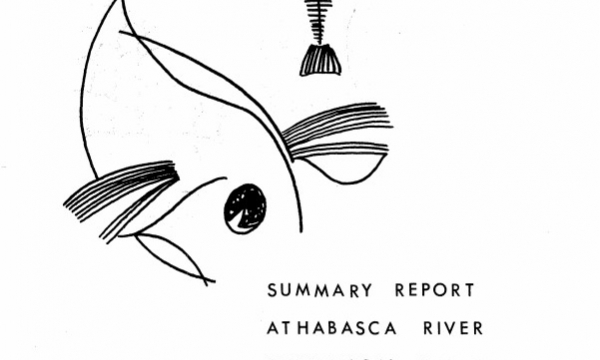 Report cover page