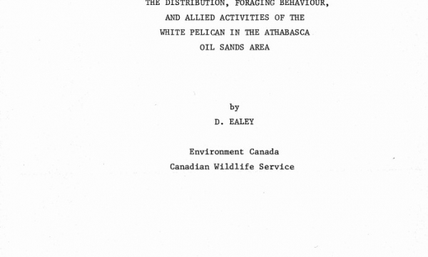 Report cover page