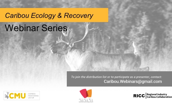 Caribou Ecology and Recovery Webinar Series
