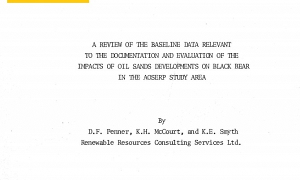Report cover page