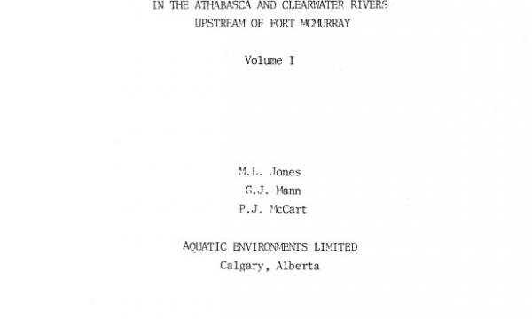Report cover page