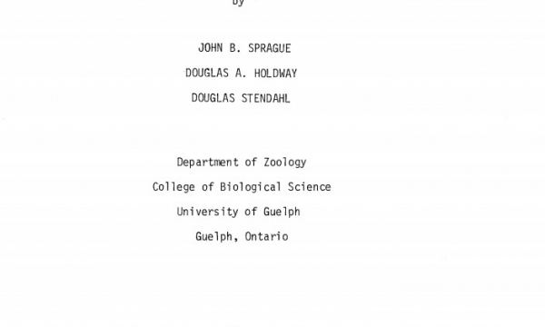 Report cover page