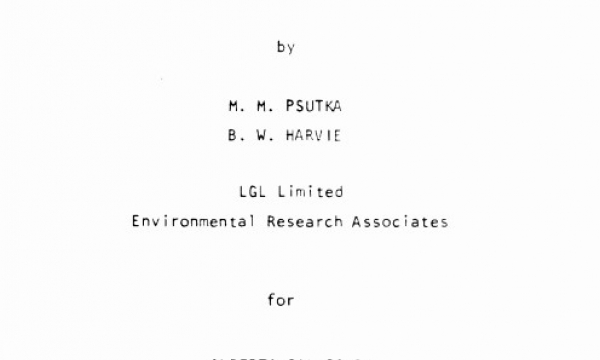 Report cover page