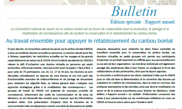 Page couverture du rapport annuel 2020