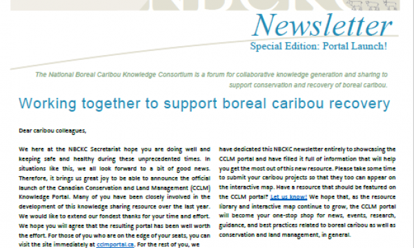 Screenshot of the cover page of the newsletter