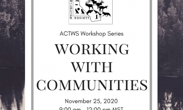 communities workshop