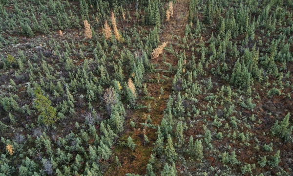 Kotcho Lake restoration Area - FNFN - Ryan Dickie
