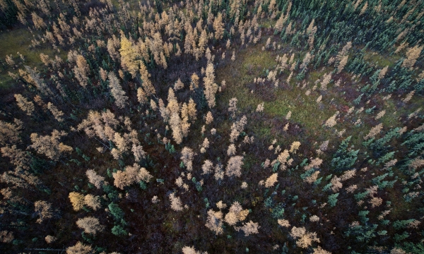 Fort Nelson First Nation - Kotcho Lake Area