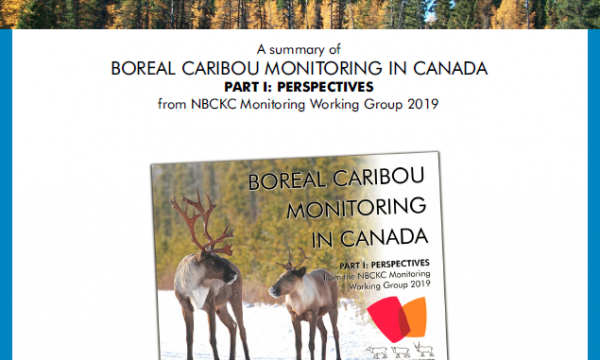 Screenshot of the cover page of the document