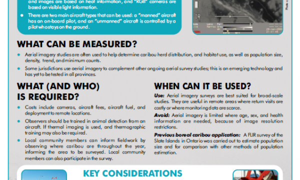 Screenshot of the factsheet