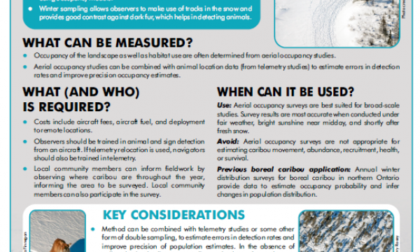 Screenshot of factsheet