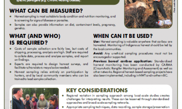Screenshot of the factsheet