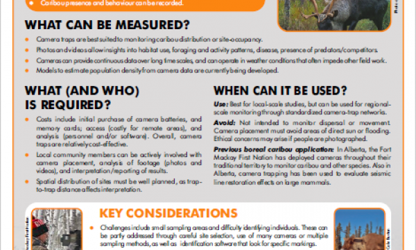 Candle Trapping Factsheet
