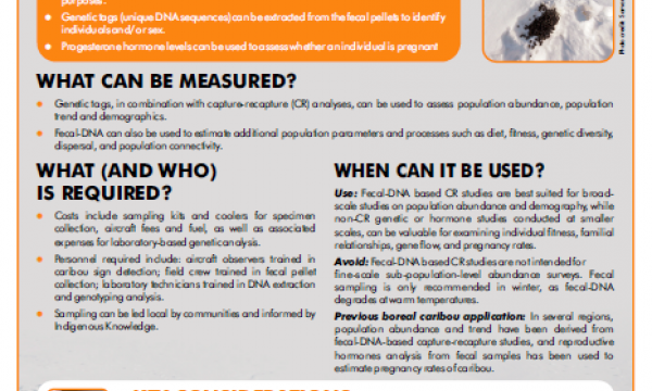 Screenshot of the factsheet